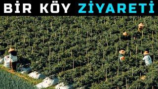 Endonezya Köy Ziyareti & Kahve Yapımı -  Bölüm 4