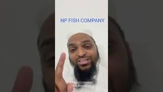 N P fish company karad