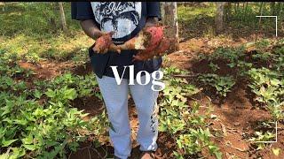 Days in my|Exploring raw African village life|African village vlog