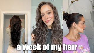 a week in the life of my hair 