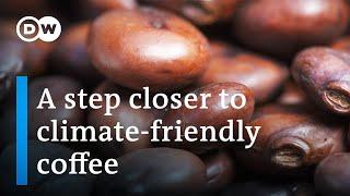 Coffee: The future of coffee growing and production | DW Documentary