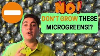  DON'T GROW Microgreens  Until You Know This Secret!  Hard-to-grow microgreens varieties 