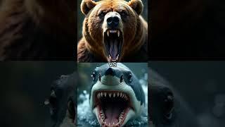 Great White Shark vs Wild Animals – Epic Battles in the Deep!