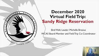 WCAS Virtual Field Trip to Sandy Ridge Reservation December 2020 Meetup Recording