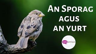 An Sporag agus an Yurt (Intermediate)