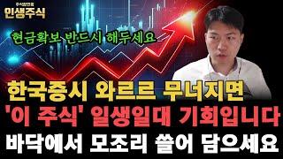 한국증시 와르르 무너지면 '이 주식' 일생일대 기회입니다, 바닥에서 모조리 쓸어 담으세요. 현금확보 반드시 해두세요 [인생주식]