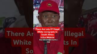 There Are Lots Of Illegal White Immigrants In South Africa | Julius Malema