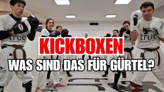  MMA, Kampfsport & Kickboxen mit Gurtsystem? Alle Fakten. Real Talk.