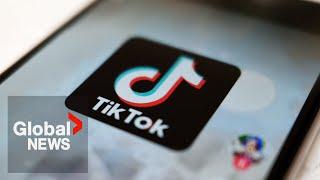 TikTok: Can the US really ban the app?