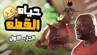 يترا حياتك هتبقي عامله ازاي لو كنت قطه !  ​ ( الجزء الاول - stray ستراي )