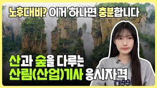 2024년도 산림기사, 산림산업기사 응시자격 | 전망, 취업처, 준비방법