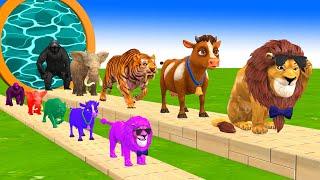 Paint & Animals Cow,Elephant,Lion,Tiger,Gorilla, Fountain Crossing Transformation Cartoon