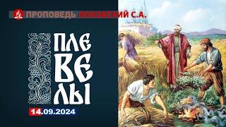 ПЛЕВЕЛЫ. 14.09.2024 г. Пропоедь - Лозовский С.А.