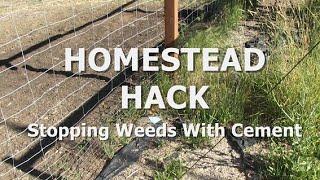 HOMESTEAD HACK - Stopping Weeds With Cement