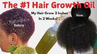 Rosemary Oil For Hair Growth: Does It Really Work?