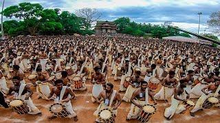 Guinness World Record Shinkarimelam | Best Indian Record | Shinkari Pooram | Largest Shinkari Melam