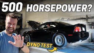 My CHEAP Terminator Cobra Makes HOW MUCH Horsepower?!