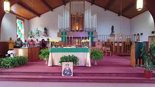 St. Thomas More Catholic Church Washington DC Live Stream