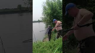 Хорошая рыба и суперподсак)))