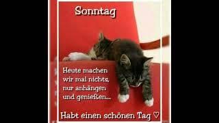  Guten Morgen - habt einen wunderschönen Sonntag / heute ist chillen angesagt 