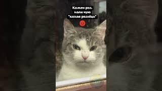 Кожен раз, коли чую какая разніца #україна #уменеєтвіт
