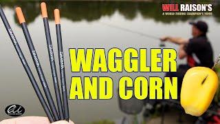 Float Fishing Waggler And Corn Match Tactics | Will Raison Fishing