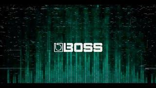 BOSS RE-202 Space Echo - Sights & Sounds with Eastside Music Supply