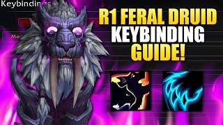 Rank 1 Feral Druid War Within Keybinding Guide!