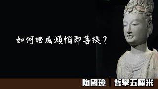 736 佛性與般若。如何證成煩惱即菩提？〈陶國璋：哲學五厘米〉2022-12-07