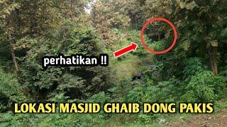 NGAWI -Cek Lokasi Masjid Ghaib Di Hutan Patalan