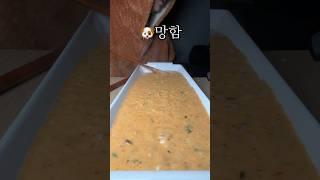 망해버린 김치낙치죽 살리기