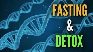 Intermittent Fasting For Detoxification and Repair