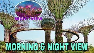 GARDENS BY THE BAY MORNING AND NIGHT VIEW | YSELLE GAGARIN #gardensbythebaysingapore #singapore