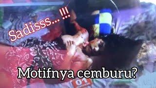 Istri di gorok suami saat tidur di garut, ternyata ini motifnya