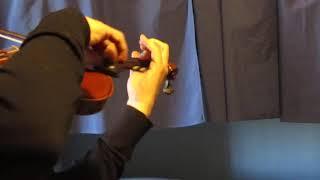 Stunning Guarnerius Del Gesu Violin Pristine!  Gorgeous 1 Piece Back 4/4