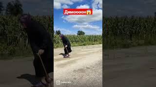 #димон #бумерангсопернице #бабка #shorts