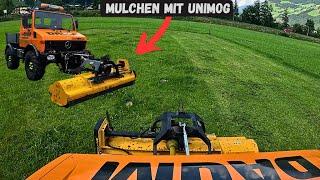 Mulchen mit Unimog U1400 6Zylinder und Müthing MU-L 250