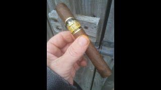 Don Tomas Classico Cigar Review
