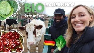 Shopping at AMAZING German Organic Farm - Bio Bauernhof - groceries, Christmas and farm animals vlog