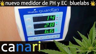 CULTIVO DE MARIHUANA medicinal *INDOOR* ph meter  BLUELABS Guardian MONITOR