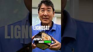 The Surprising Role of Wood in Space Exploration | JAXA’s LignoSat
