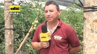 Preparación del suelo en horticultura