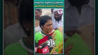 వైఎస్ షర్మిల డిమాండ్ | YS Sharmila Demands to Chandrababu Over Farmers Issue | Telugu Scribe