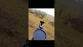 мой лучший снимок в жизни охота на кабана#hunting #chasse #chasseur #chess #wildboar