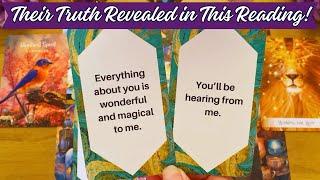 YOUR PERSON'S HONEST THOUGHTS & FEELINGS ABOUT YOU NOW  LOVE READING ️ (TAROT READING)