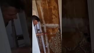 КАНДИДАТ ОТ ГЕРМАНИИ НА ЕВРОВИДЕНИЕ  #дачникзаграницей