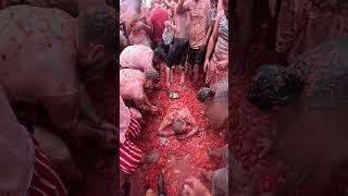 Spain Has The Worlds Largest Food Fight (La Tomatina)