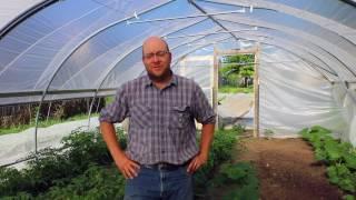 Small Farm Marketing Success with Daniel Garcia of Garcia's Gardens