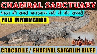 Chambal Gharial Sanctuary : Full Information |Ranthambore| Rajasthan | Crocodile | Ghariyal | Bird |