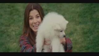 The Proposal - Scene with Kevin the Dog